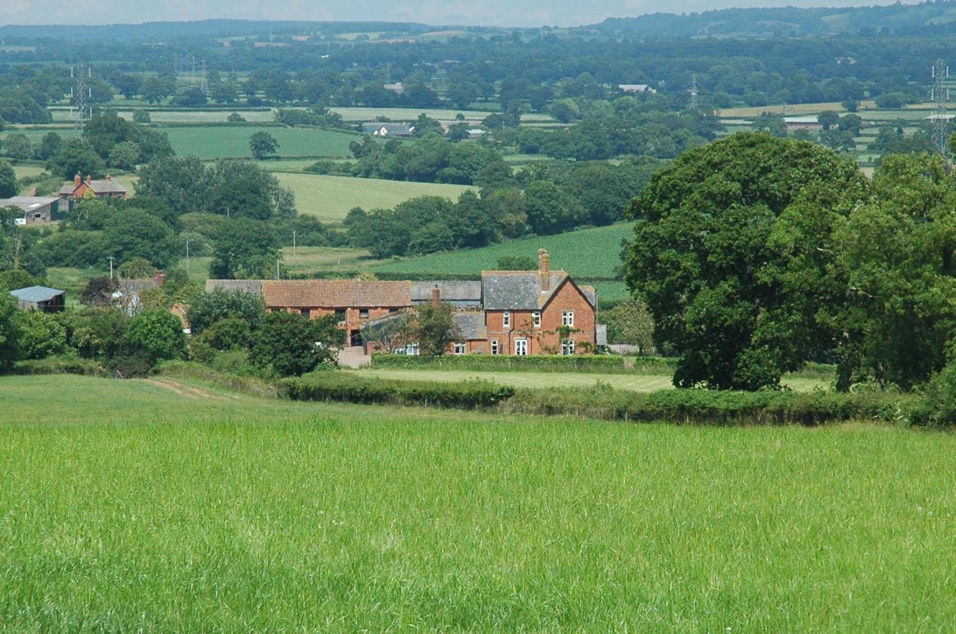 Newcourt Barton Βίλα Cullompton Εξωτερικό φωτογραφία