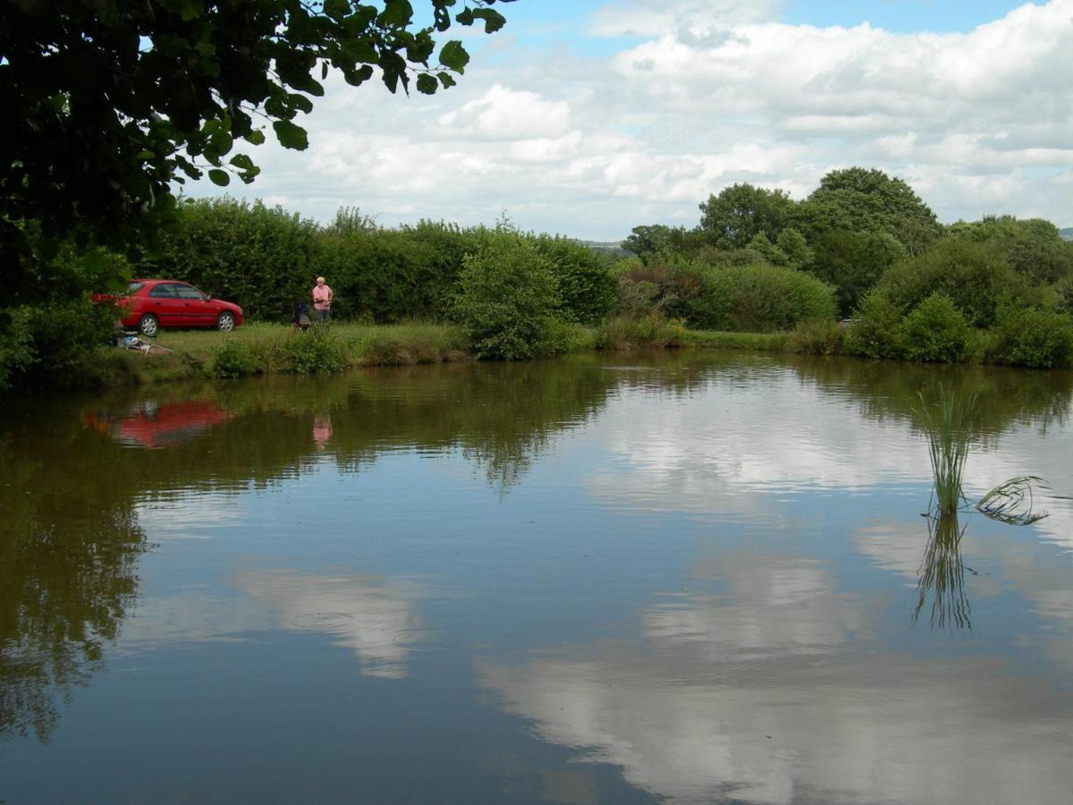 Newcourt Barton Βίλα Cullompton Εξωτερικό φωτογραφία