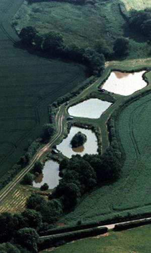 Newcourt Barton Βίλα Cullompton Εξωτερικό φωτογραφία